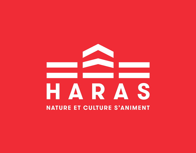 Снова чувствую себя ребёнком, когда смотрю это: 17 минут нового геймплея Nioh 3 взбудоражили фанатов перед скорым релизом